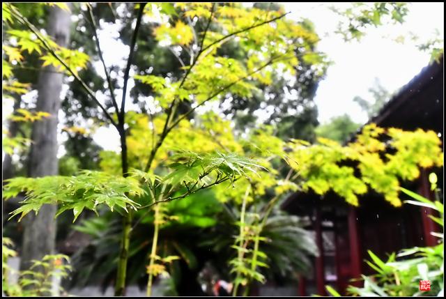 安得广厦千万间，大庇天下寒士俱欢颜