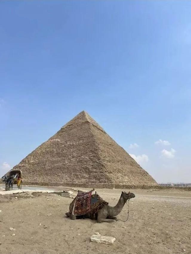 不在职场卷了，年轻人选择穷游亚欧非