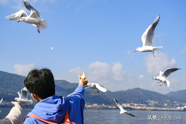 真的让人没想到，云南昆明这两个地方这么火爆还免费，游客这么多
