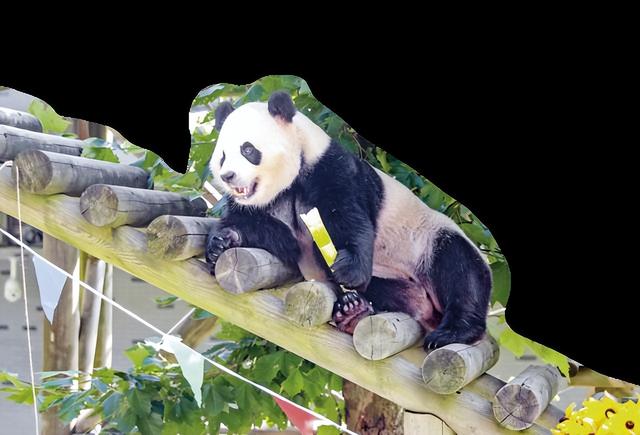 “以‘新’迎客，感受华蓥山多元魅力”