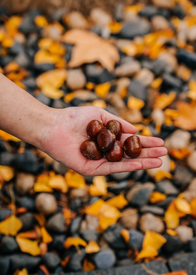 捕捉江汉路秋日心动,速戳收藏城市温柔