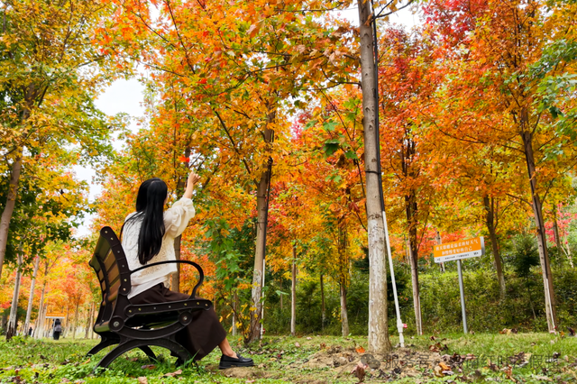 给你个准信！韶关森林红！红！红啦~