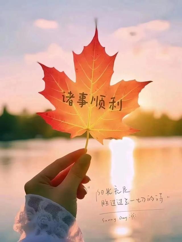 早安正能量简短励志句子，热爱生活，也会被生活治愈。早安！