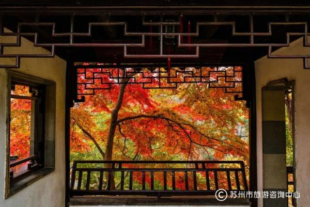 苏州园林秋色拍照攻略！这几个机位包出大片！
