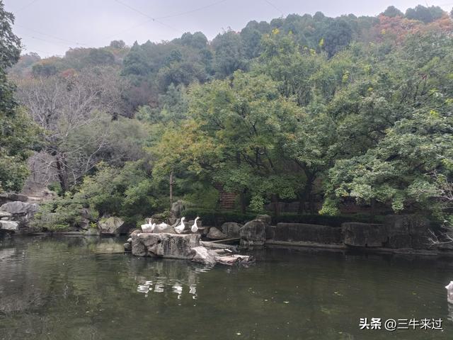 无为在歧路，济南红叶谷