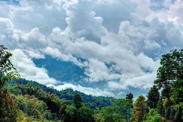 好逛又好拍！西双版纳6个氛围感十足的免费景点推荐，都超出片！