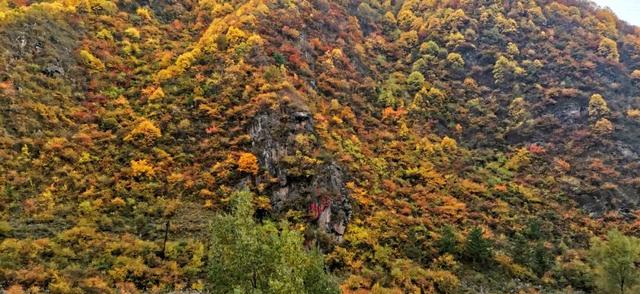 兰仓秋，染山河。