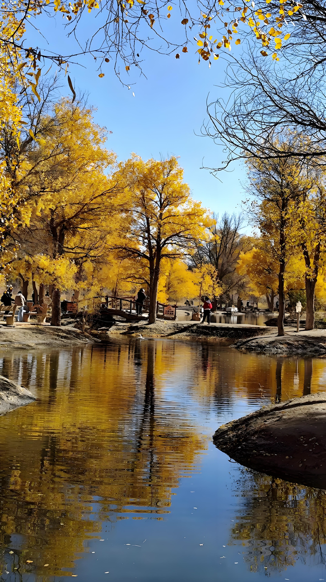 踏迹寻旅：不朽胡杨林游人玩什么？