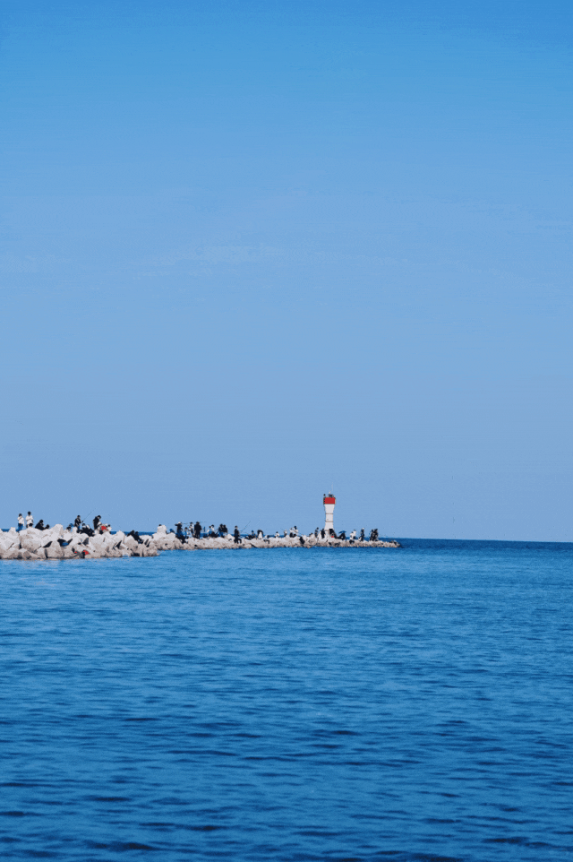 奔“区”潍坊！“趣”游滨海 欢乐无限！