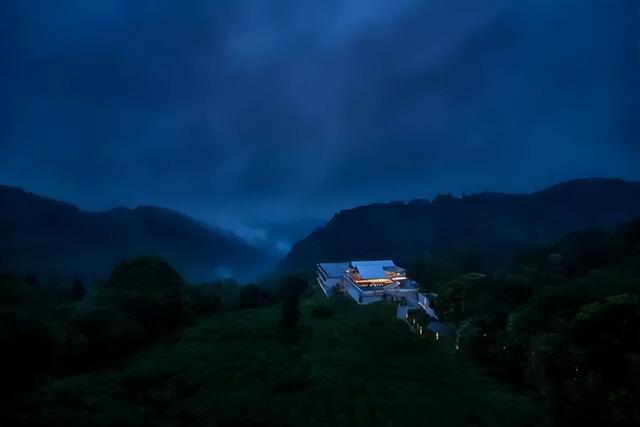 在竹上花楸，住进茶山竹海~