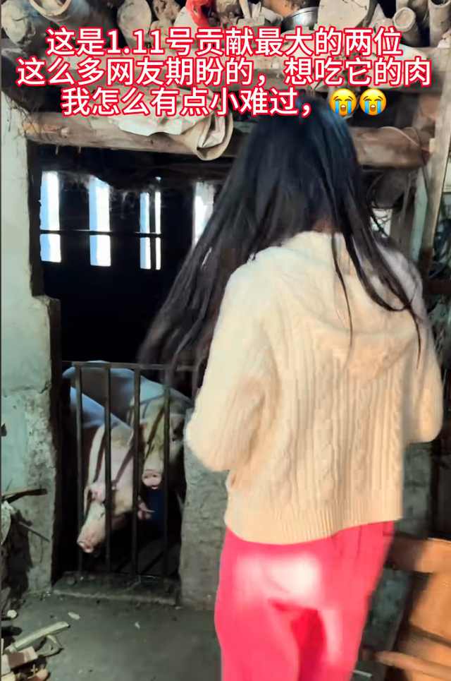 呆呆妹做梦没想到，杀猪宴收官仅1天	， 一家人就走上大衣哥的老路