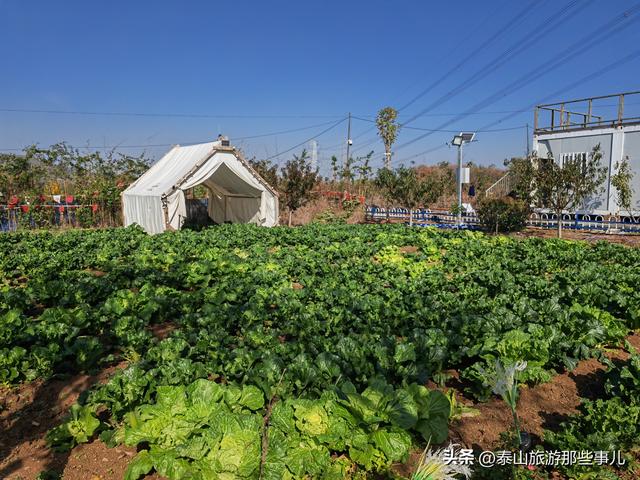 泰安：城西南有一个微缩的生态乐园，风光曼妙，带家人自驾好去处