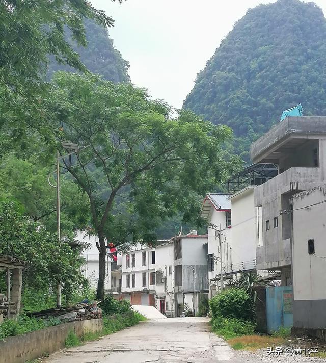 广西崇左市大新县与越南交界的小街，村民农姓难道是侬智高后裔？
