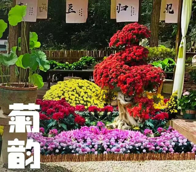 我和临沂合个影，蒙童胜境↔市区，双节2日游，嗨起