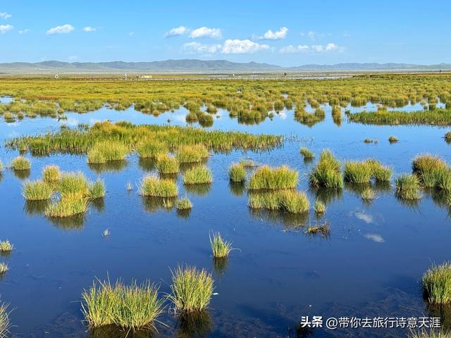 若尔盖大草原之花湖的梦幻仙境