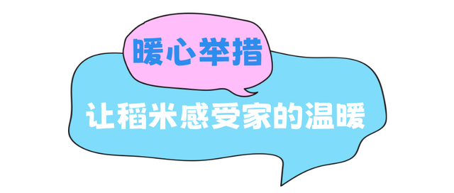 8·17稻米节登上热搜！长白山，你暖到我了！