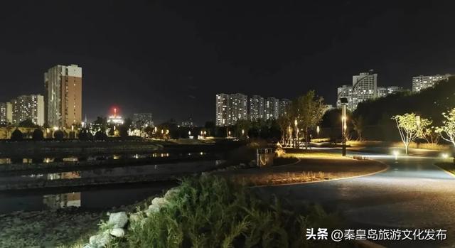 实拍!秦皇岛家门口的免费好去处,这个百亩湿地公园晚上也能逛~