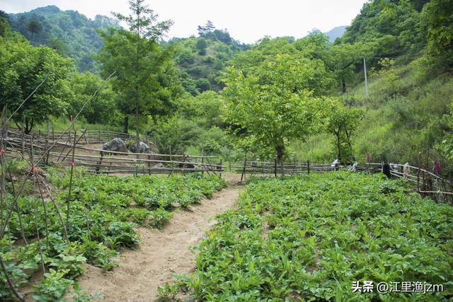 山水人间