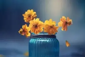 宁愿烂在肚子里，老人也别对儿媳、女婿说的五句话图片