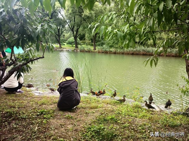颐和园之三——西堤、绣漪桥和十七孔桥