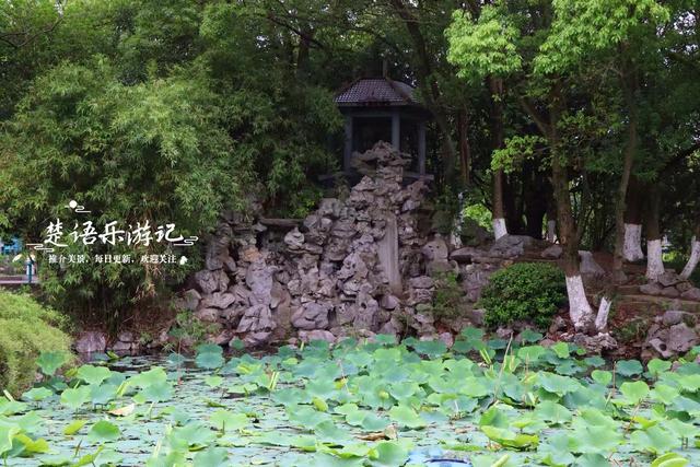 浙江宁波的老牌小众公园，被人忽略却是赏荷胜地，非常值得游玩