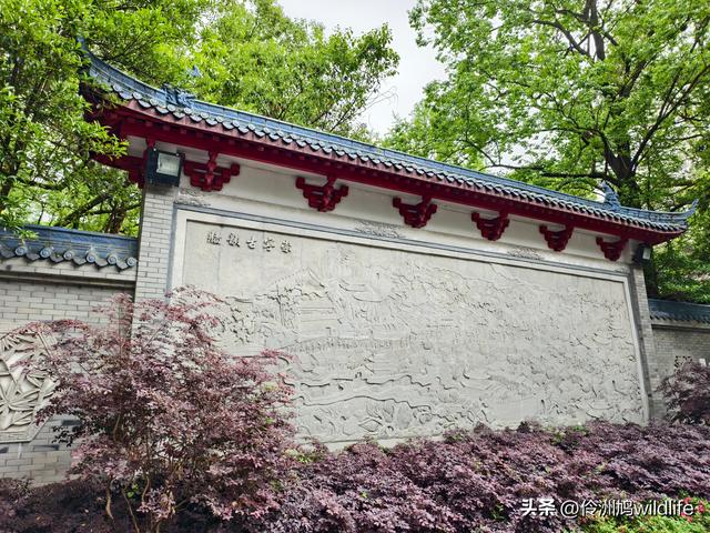 成都古镇（15）郫县唐昌古镇崇宁公园·大椿巷
