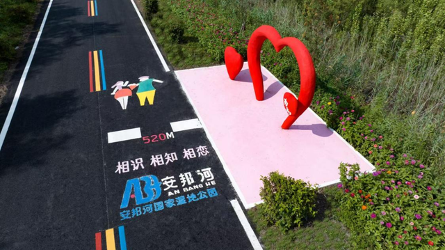 步步生花 解锁黑龙江的浪漫