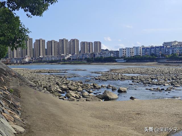 福鼎市区一日游：从白茶发源地到市井小吃赏唐风建筑品山海韵味