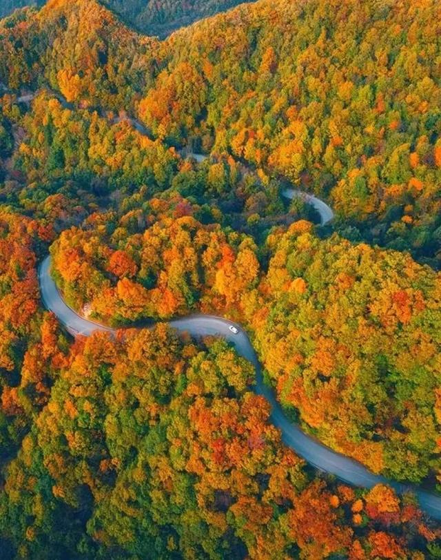 太洋公路已通车！去黄柏塬赏秋现在就出发！