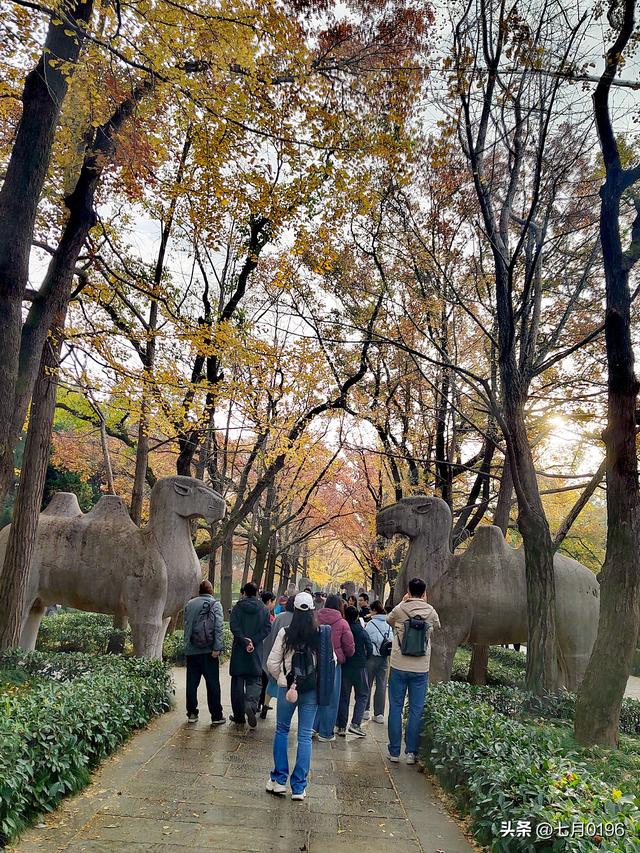 最美石象路，我来咯