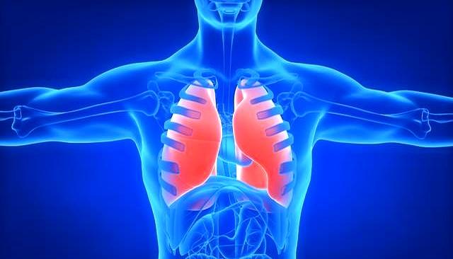 跑步真能养肺？医生揭秘：肺最爱的6件事，做对了效果翻倍！