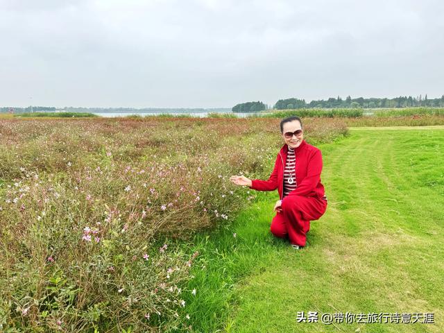 南京高淳固城湖水慢城风光