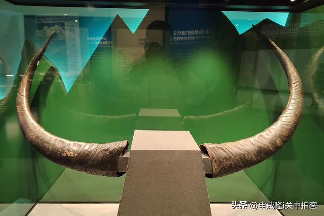 神奇悠久：参观日喀则博物馆