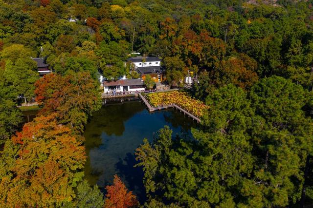 明天起,天平山提前至7点开园!