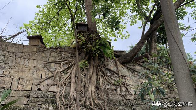 立马五峰天地小，群山俯首拜英雄，泸州小市五峰顶有历史