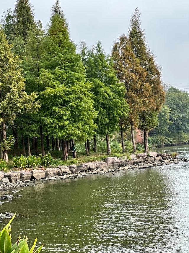 浙江没想到，安徽也没想到，现在的衢州，怎么突然这么火了