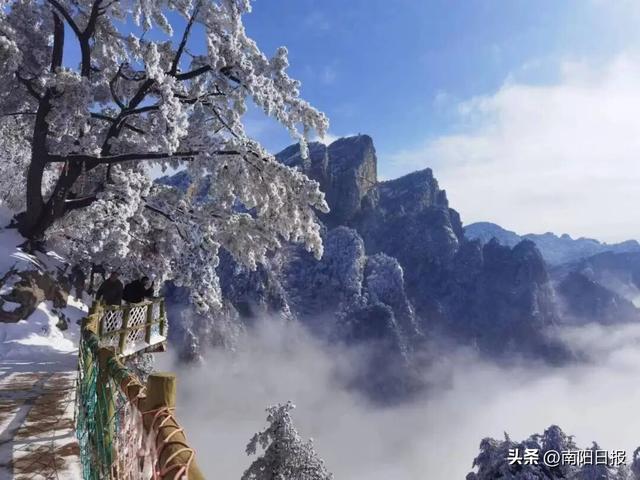 南阳的冬日仙境在这里！