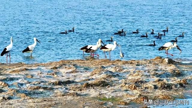 与三联同行，行走黄山不止于“雾凇限定”