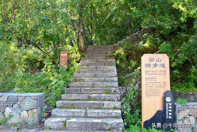 河北百草畔（上）：风动孤石悬险韵，蚁巡深岭蕴生机
