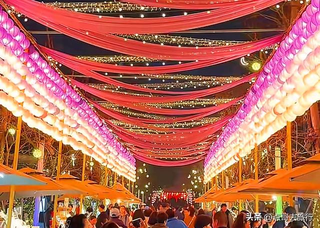 成都免费灯会，亮灯了，流光溢彩，超级漂亮，一派年味！