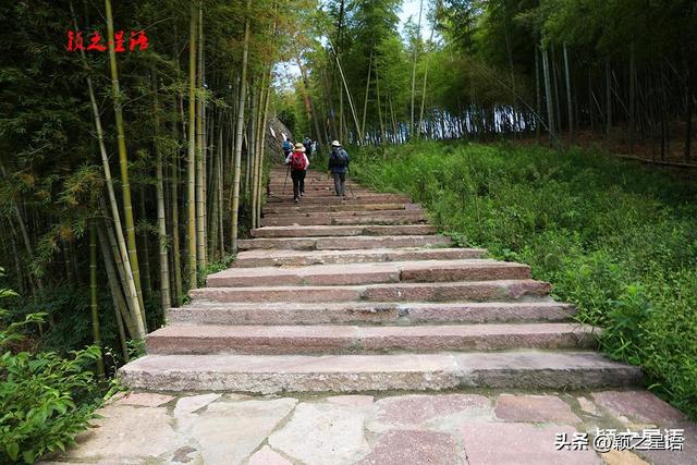 柘岭爱中古道，距离城区非常近，走过还想走