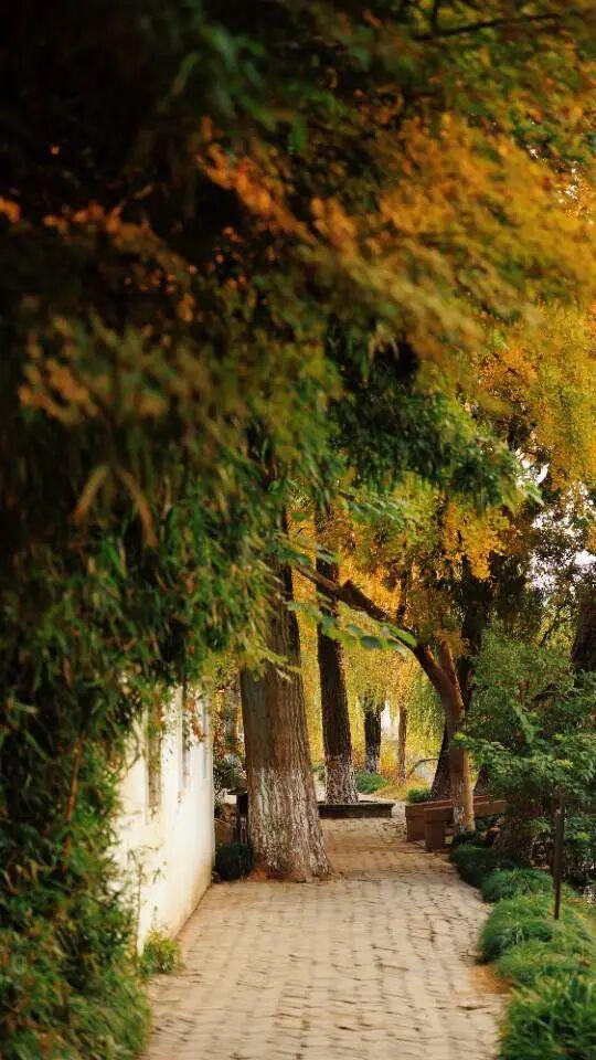 藏不住了~如皋这里随手一拍就是壁纸