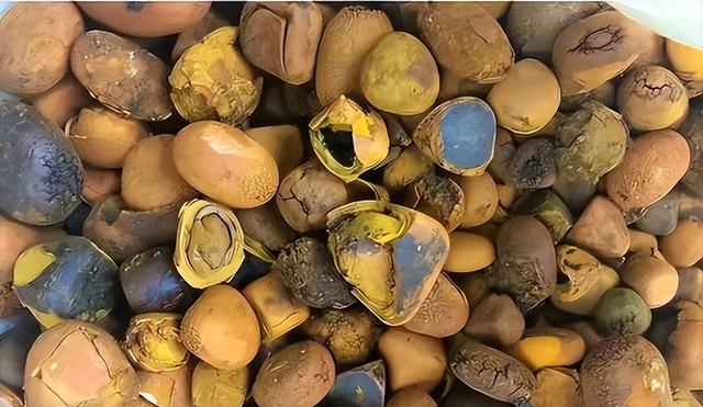 比黄金还贵！1公斤卖165万，之前在农村被当成垃圾，为何现在暴涨