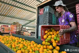 橙汁行业正处于危机之中！橙汁价格最近攀升至历史新高！图片