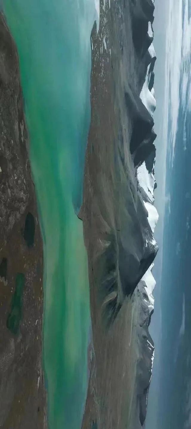 极地那曲不仅美在雪山湖泊，更美在每一棵生机盎然的树
