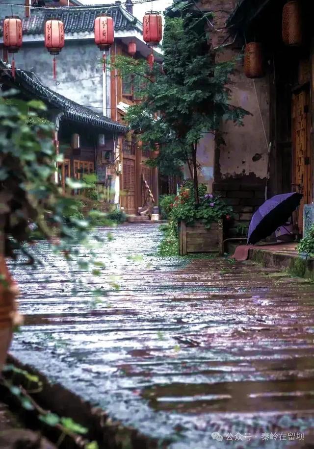 当秋雨掠过秦岭的山脊，汉中悄悄美成写意水墨画