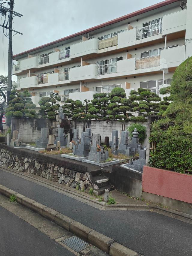 游记：关于日本的喜欢与不喜欢