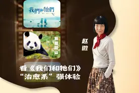 看《我们和牠们》，“治愈系”强体验——访凤凰卫视节目副总裁、中文台执行台长赵微图片