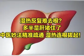 湿热反复难去根？多半是肝堵住了 中医妙法精准疏通 湿热连根拔起！图片