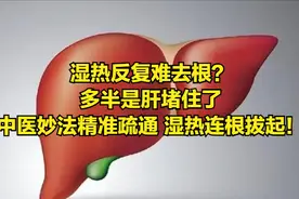 湿热反复难去根？多半是肝堵住了 中医妙法精准疏通 湿热连根拔起！图片